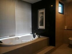 Volari (D10), Condominium #445698491